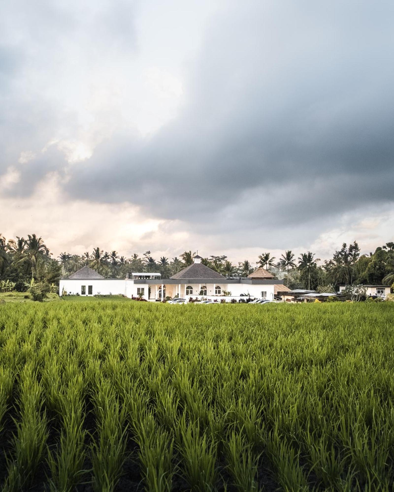 Cascades Suites Ubud Eksteriør bilde